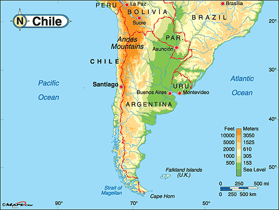 مرنے کا حق دیا جائے، چلی کی 14 سالہ بیمار لڑکی کی صدر سے اپیل