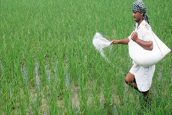 Fertilizer