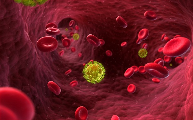 HIV Virus - AIDS