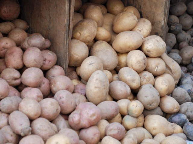 رواں برس پنجاب میں آلو کی 3.7 ملین ٹن پیداوار حاصل ہوئی: فرخ جاوید