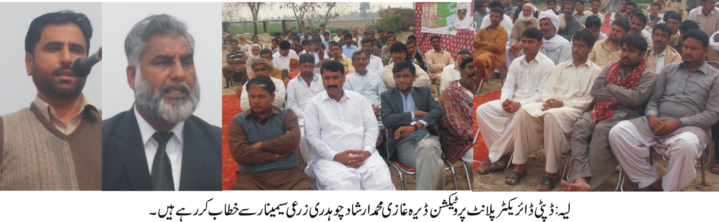 گندم کی بہتر پیداوار کے حصول کے لئے جڑی بوٹیوں کے خاتمے اور  سست تیلے کا خاتمہ انتہائی ضروری ہے