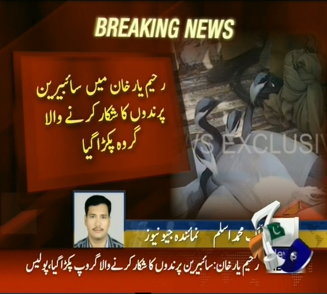 رحیم یار خان میں سائبیرین پرندوں کا شکار کرنے والا گروہ  پکڑا گیا