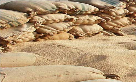 محکمہ خوراک خیبر پختون خوا کی خریدی گئی گندم خراب