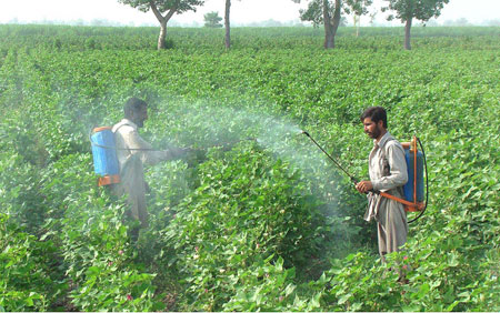 زراعت کی ترقی کے لئے کسانوں میں شعور اجاگر کرنے کے لئے مسلسل کانفرنسز کا انعقاد کیا جائے۔محمد ارشد
