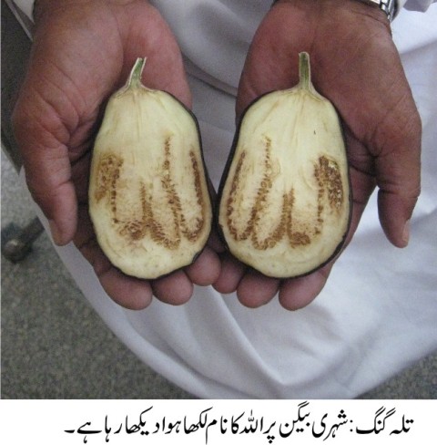 تلہ گنگ  کی خبریں 22/04/2015