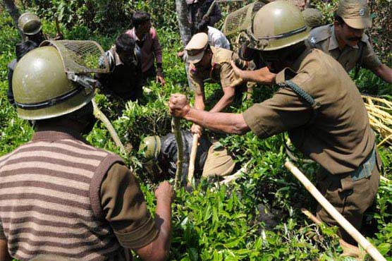 بھارت: سیکورٹی فورسز کا آپریشن، 20 اسمگلر ہلاک