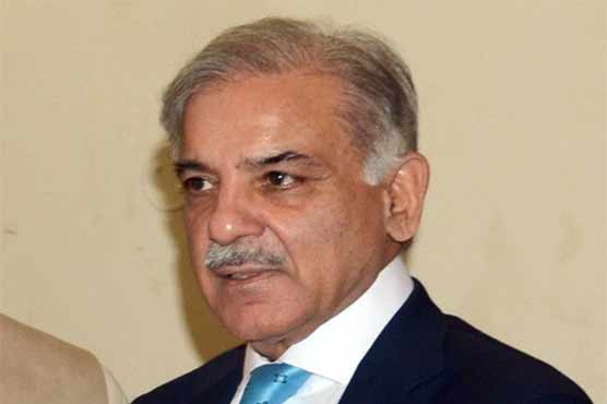 وزیراعلی پنجاب کی سعودی وزیر خارجہ سے ملاقات، یمن کی صورتحال پر بات چیت