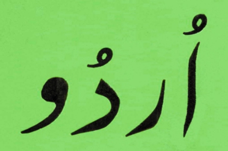 قومی زبان اور ہماری بے حسی