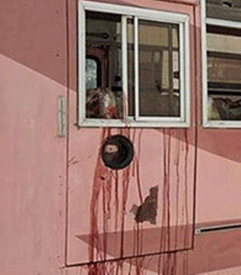 اسمعیلی کمیونٹی پر حملہ پاکستان کی معیشت پر حملہ ہے‘  امیر پٹی