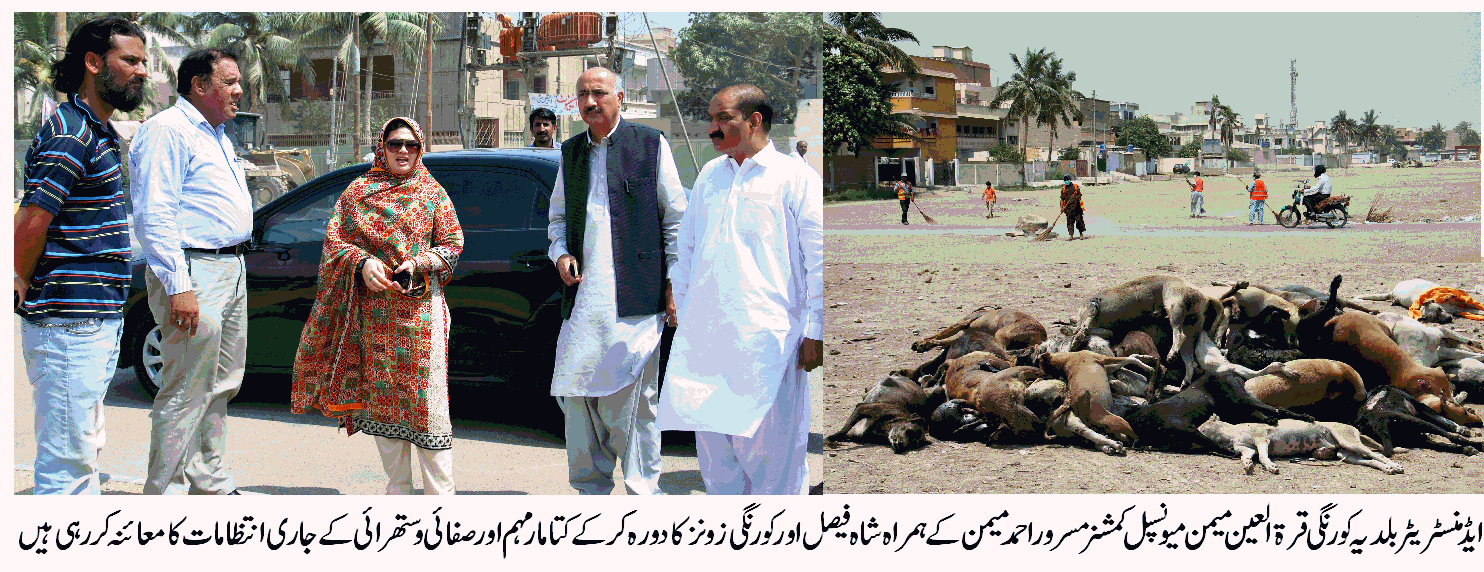 شاہ فیصل اور کورنگی زون میں آوارہ کتوں کے خلاف مہم۔180 کتوں کو ٹھکانے لگا دیا گیا