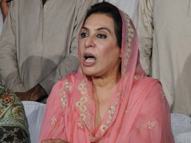 ذوالفقار مرزا کو کچھ ہوا تو ذمہ دار حکومت ہو گی، فہمیدہ مرزا