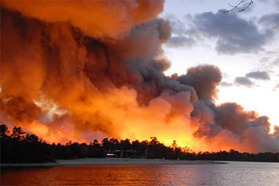 امریکہ: جنگل میں آگ لگ گئی، قریبی آبادی محفوظ مقامات پر منتقل