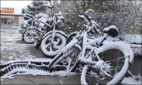 منگولیا : شدید برفباری سے زندگی کا نظام درہم برہم ہو گیا