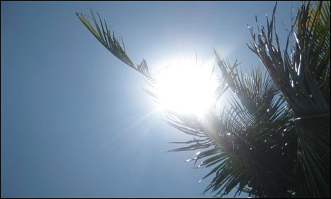 Hot Weather