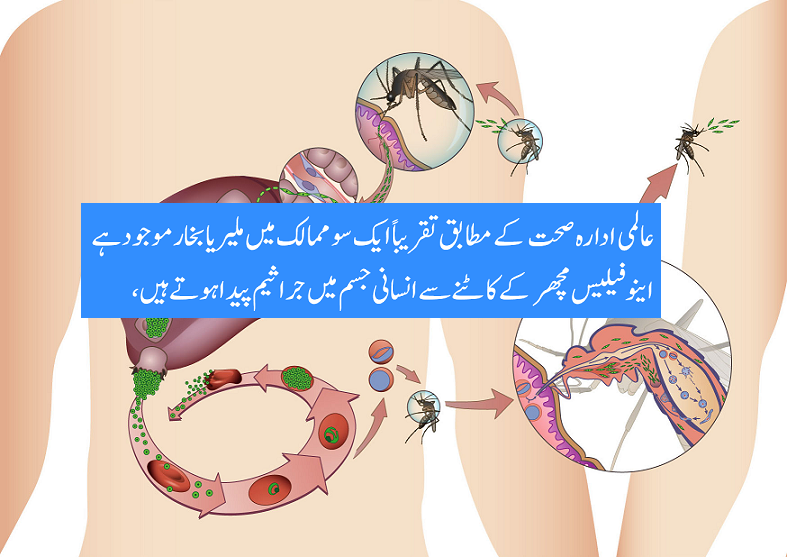 افریقا ، ملیریا بخار میں نوے فیصد بچے ایفیکٹڈ