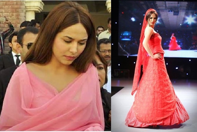 سپر ماڈل کی ڈائری