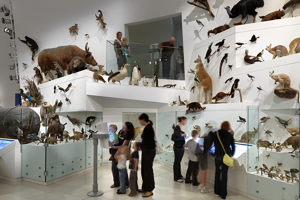 درس عبرت دیتے عجائب گھر !