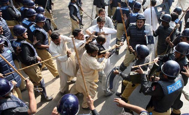 جنگل کا قانون