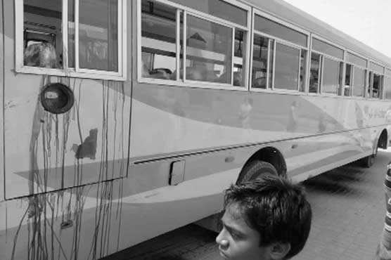 صفورا میں سفاکی