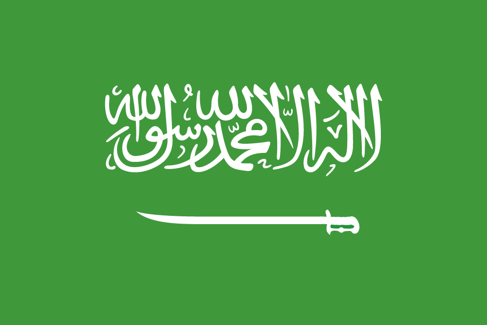 جنگ بندی میں توسیع نہیں ہو گی: سعودی عرب