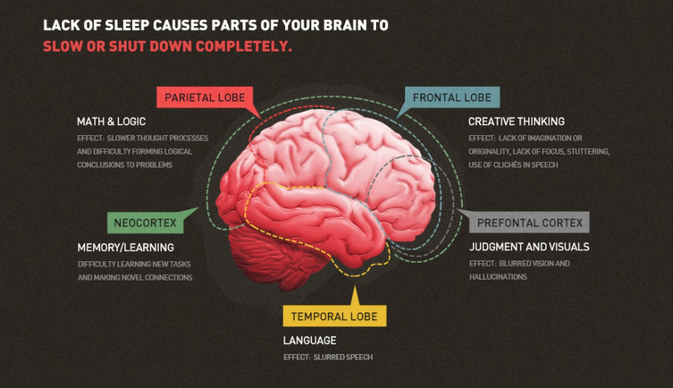 Sleep Deprivation and Memory Loss