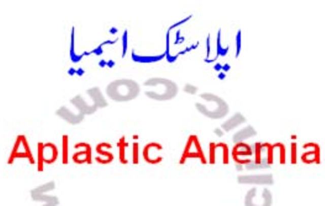 بدین شہر کے وارڈ 4 کے مکین افتحار بلوچ کی بیوی ایک سال سے،ائے پلاسٹک اینمیا مرض میں مبتلا