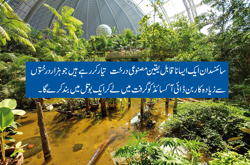 میگا پروجیکٹ