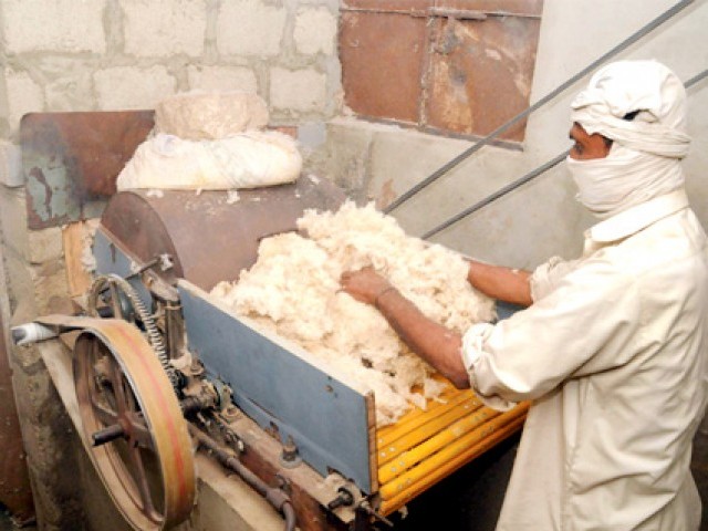 ایک ماہ کے دوران روئی کی قیمت میں 450 روپے من اضافہ