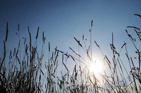 ملک کے بیشتر علاقوں میں موسم خشک رہے گا، چند مقامات پر بارش کا امکان