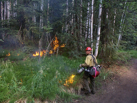 امریکہ: الاسکا کے جنگل میں لگی آگ بے قابو ہو گئی، متعدد گھر جل کر راکھ