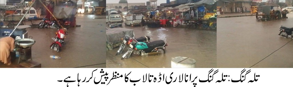 تلہ گنگ کی خبریں 15/06/2015