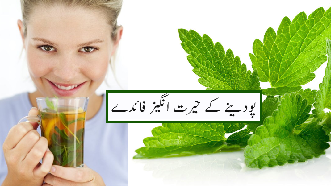 منہ اور گلے کی بیماریوں میں پودینہ کا کمال