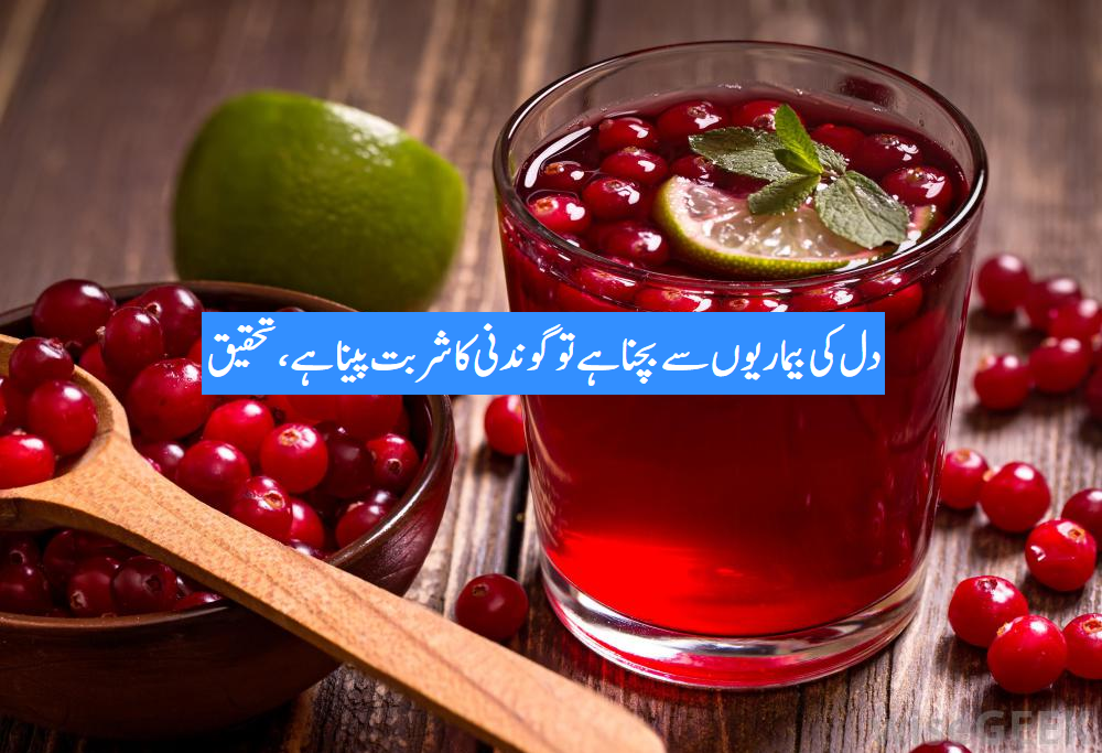 دل کی بیماریوں سے بچنا ہے تو گوندنی کا شربت پینا ہے، تحقیق