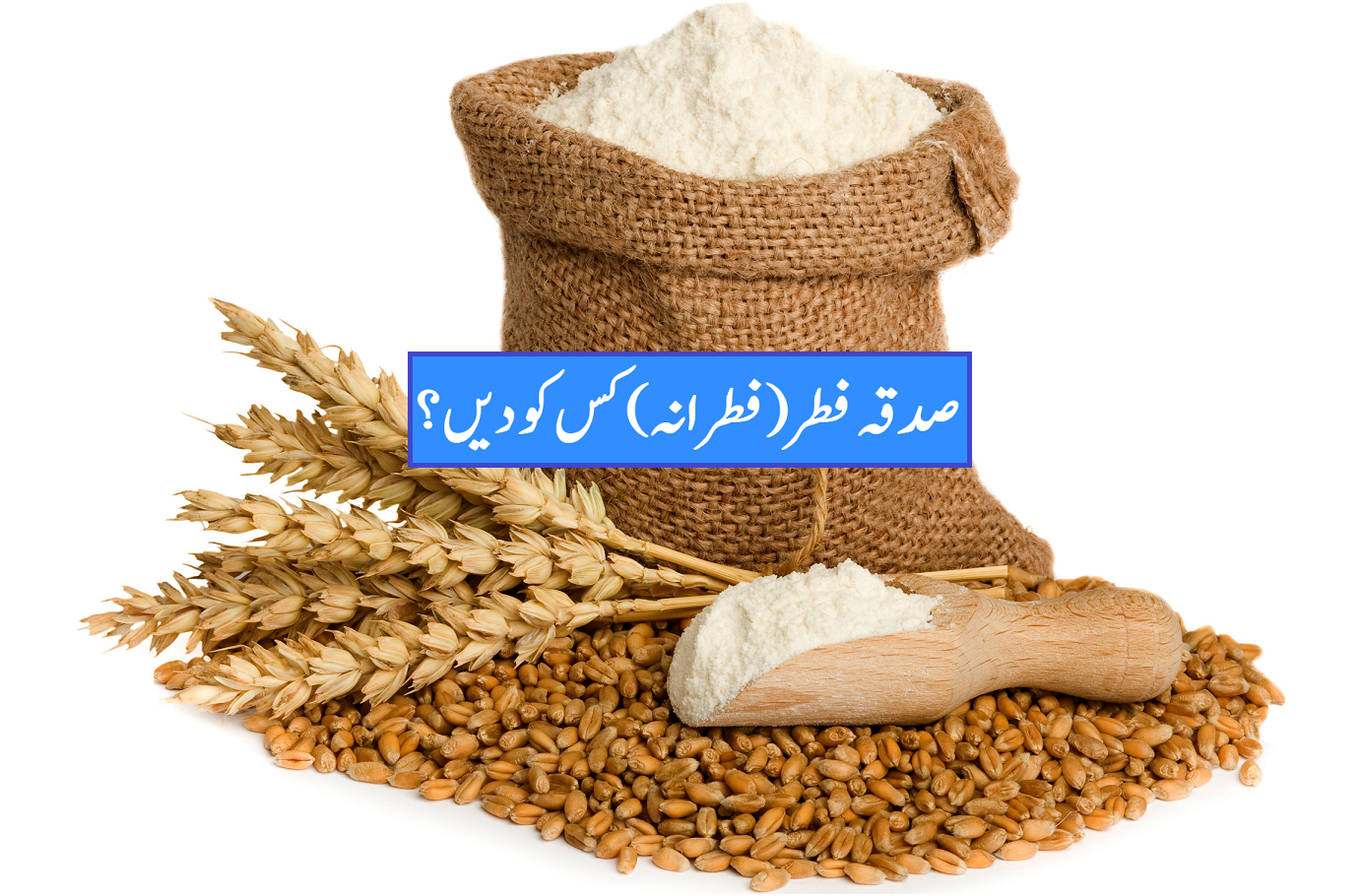 صدقہ فطر(فطرانہ) کس کو دیں؟