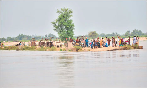 گڈو بیراج پر انتہائی اونچے درجے کا سیلابی ریلہ داخل ہو گیا