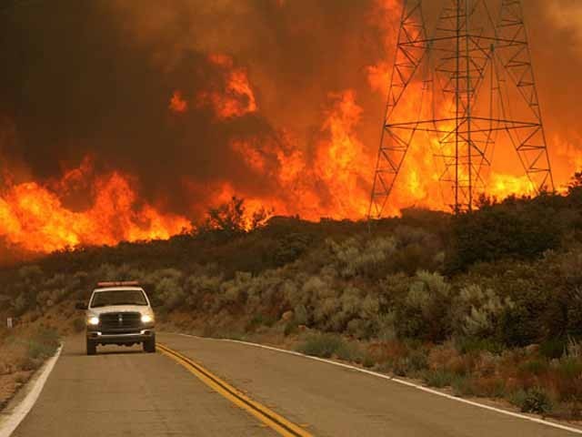 Forest Fire
