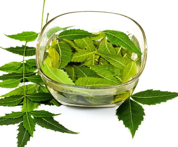 نیم کے 6 ایسے فوائد جن سے شائد آپ لاعلم ہوں