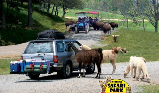 سنگاپور سے ٹارزن کی واپسی