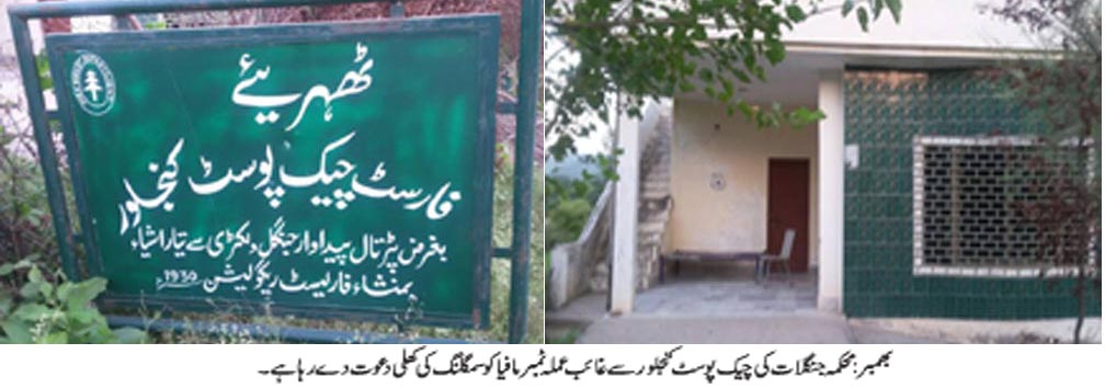 بھمبر کی خبریں 17/09/2015