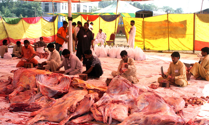 جامعہ بنوریہ: امسال بھی اجتماعی قربانی کا انعقاد کیا گیا ہے