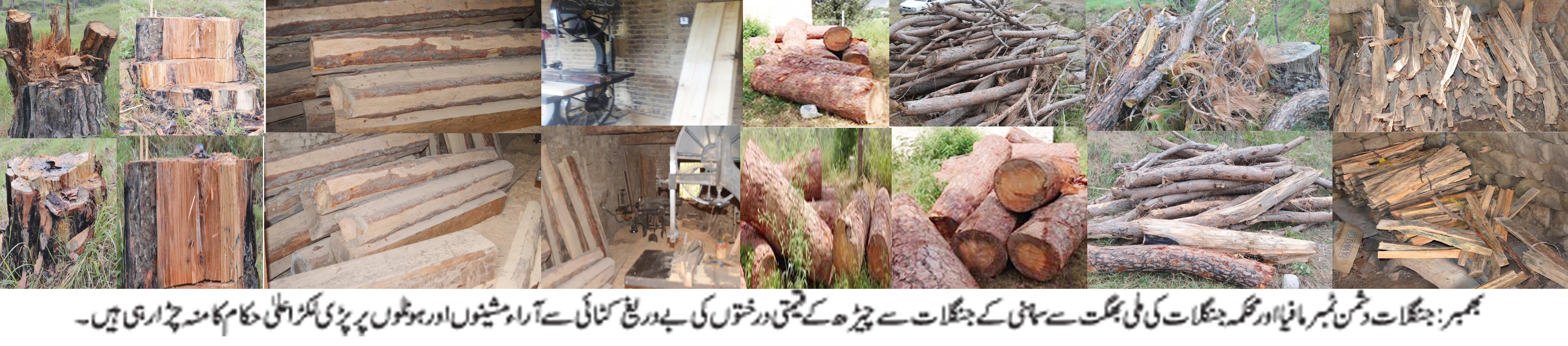 بھمبر کی خبریں 22/9/2015