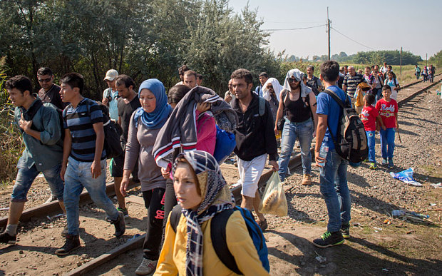 سربیا سے مزید سینکڑوں تارکین وطن پولیس کی رکاوٹوں کو توڑتے ہوئے ہنگری میں داخل ہو گئے