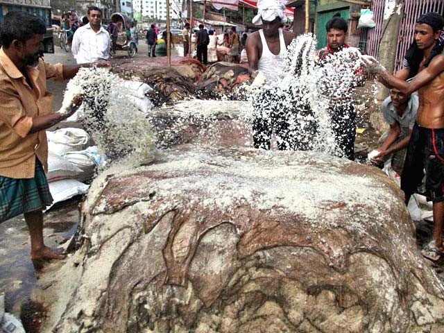 کراچی میں 2 لاکھ کھالیں خراب ہونے کے باعث لیدر انڈسٹری کو 30 کروڑ کا نقصان