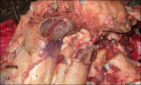 بھکر: 7 من سے زائد ناقص گوشت برآمد، 4 ملزمان زیرحراست