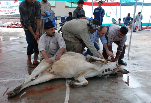 عید الاضحی اور قربانی کے احکام