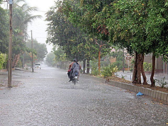 Rain