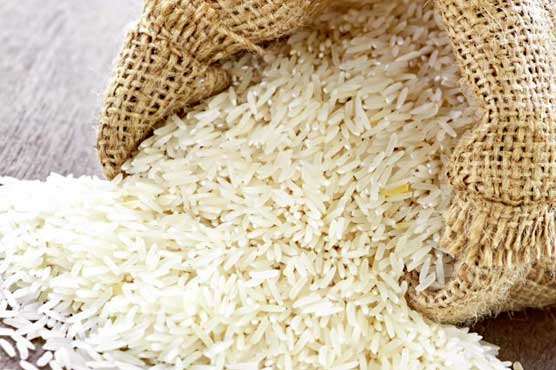 Rice