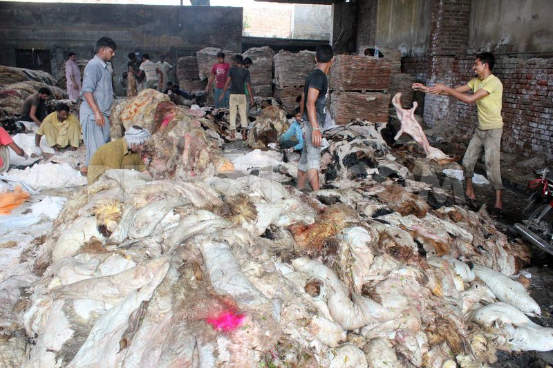 عید الاضحیٰ پر قربانی کی کھالیں الخدمت کو دے کر دکھی انسانیت کا سہارا بنیں، منعم ظفر خان