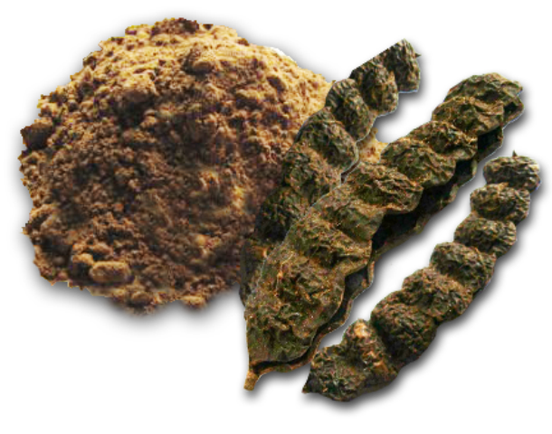 سیکا کائی کے جلد کی خوبصورتی کے لیے حیرت انگیز فوائد