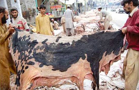 کھالیں جمع کرنیوالوں کیلئے بری خبر، عالمی منڈی میں لیدر کی طلب میں کمی